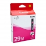 DS-CI29M.jpg