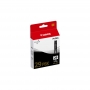 DS-CI29PB.jpg