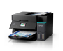 DS-EPET4950.jpg