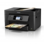 DS-EPWF3825.jpg