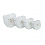 DS-PB44220.jpg